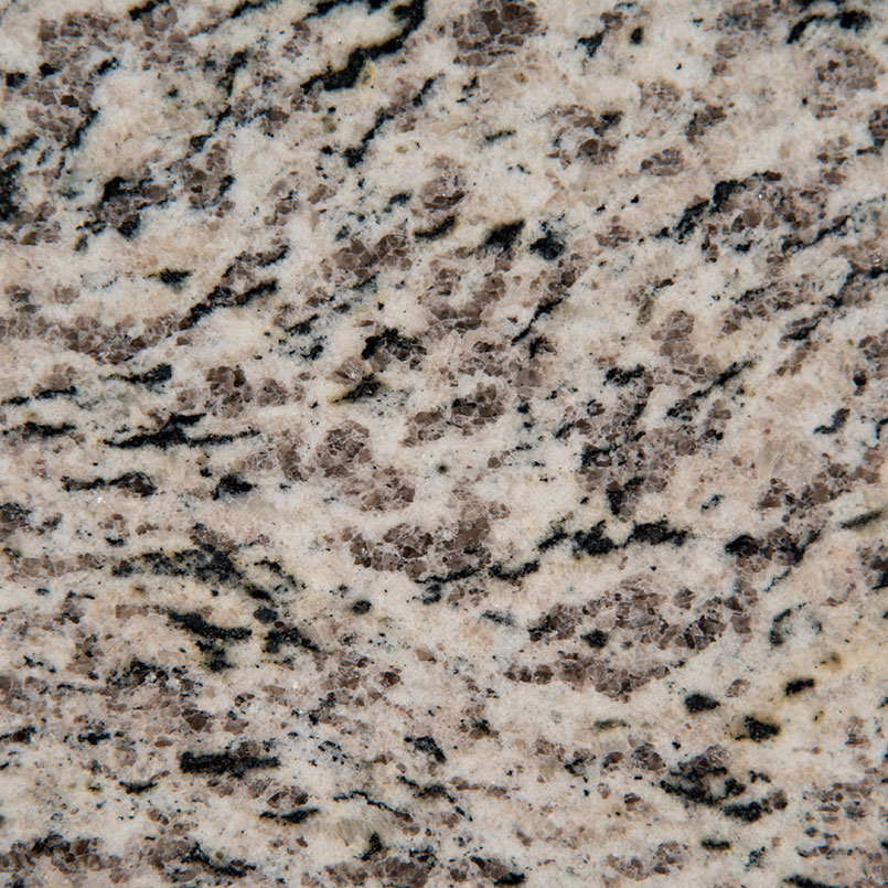Blanco Perla granite detail