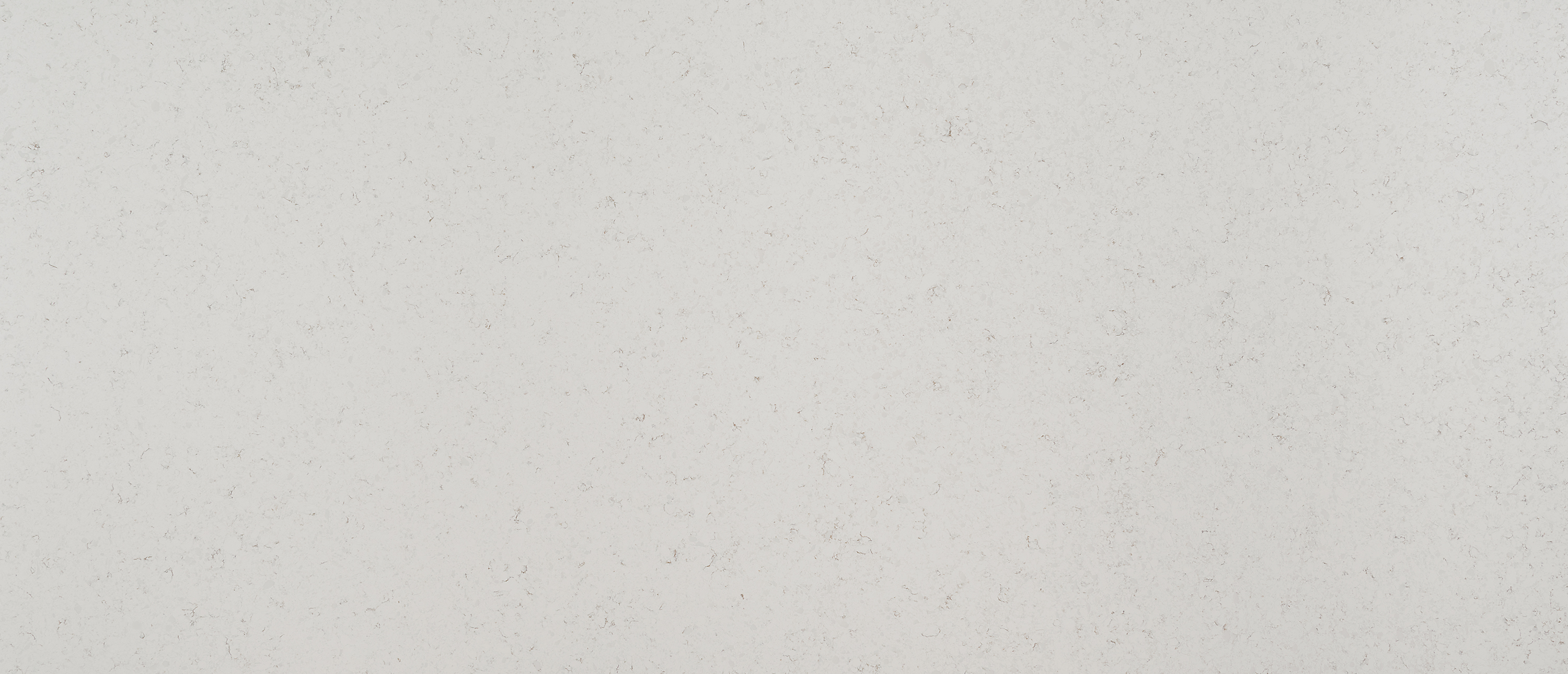 Blanca Statuarietto quartz full slab