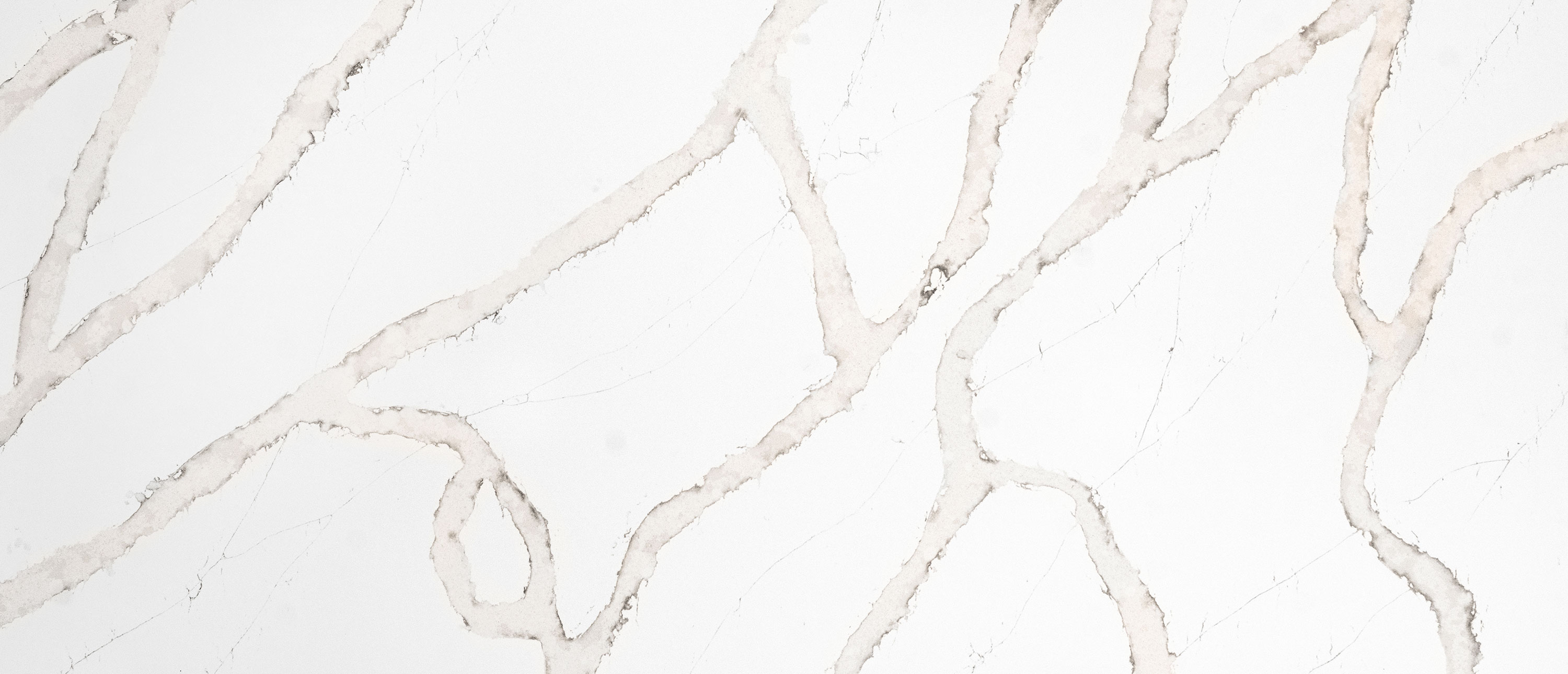 Calacatta Goa quartz full slab