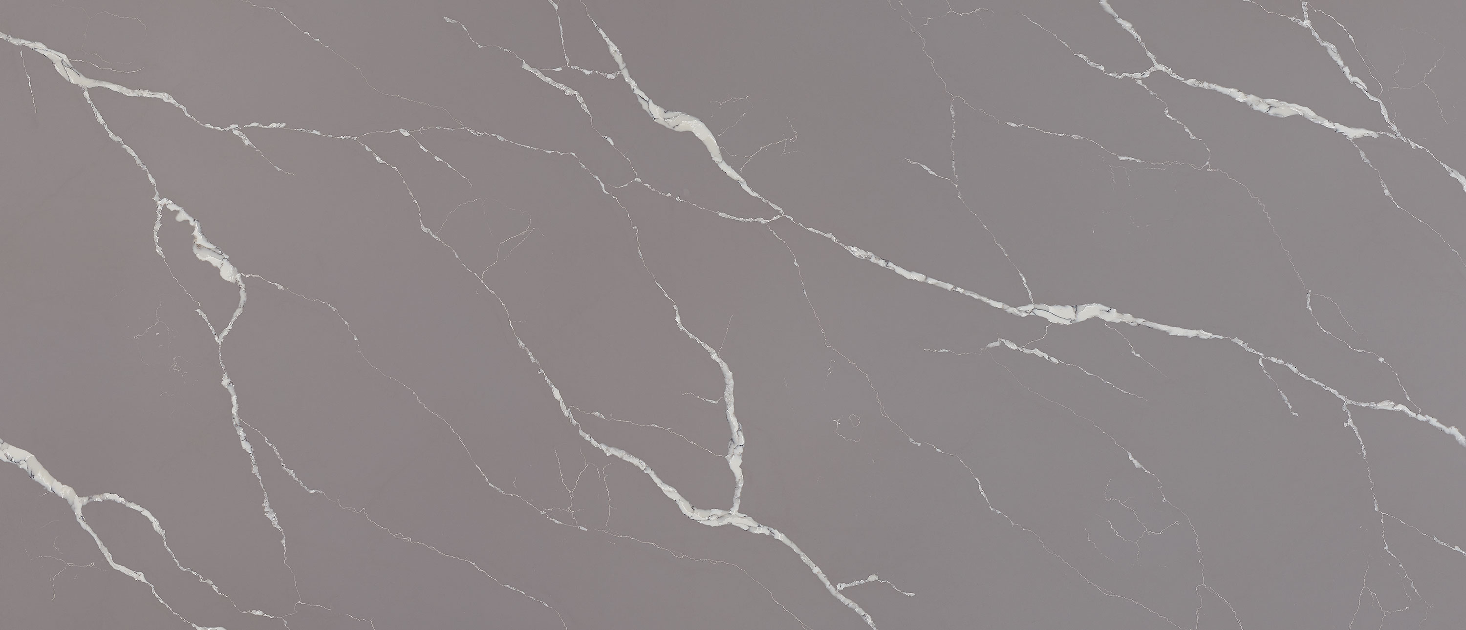 Calacatta Laza Grigio quartz full slab