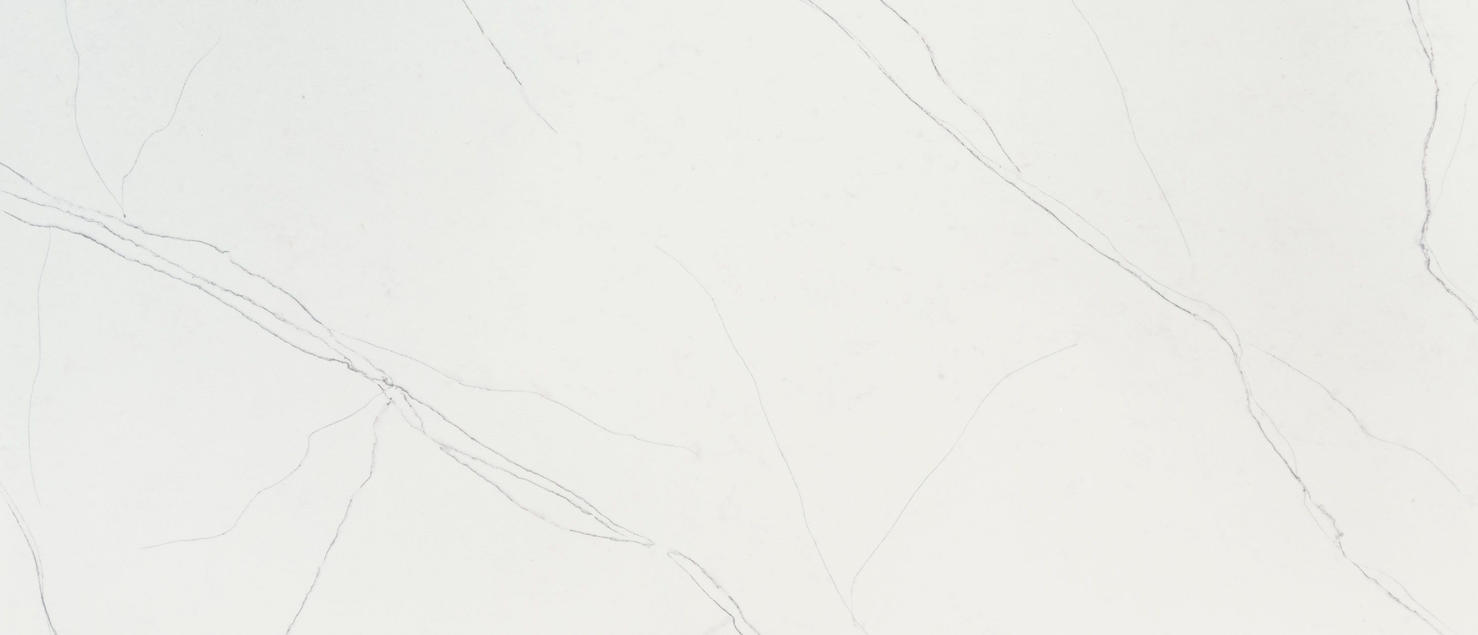 Calacatta Trevi quartz full slab