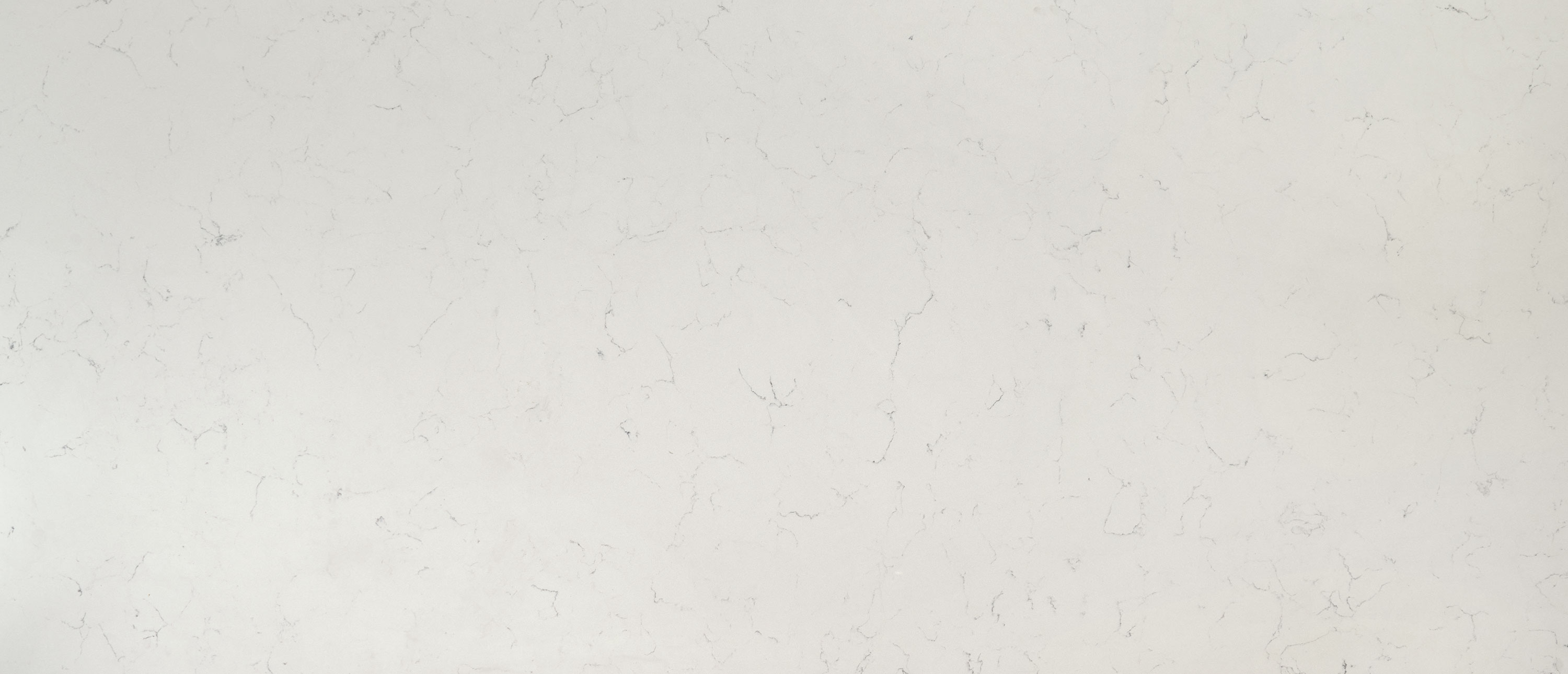 Carrara Delphi quartz full slab