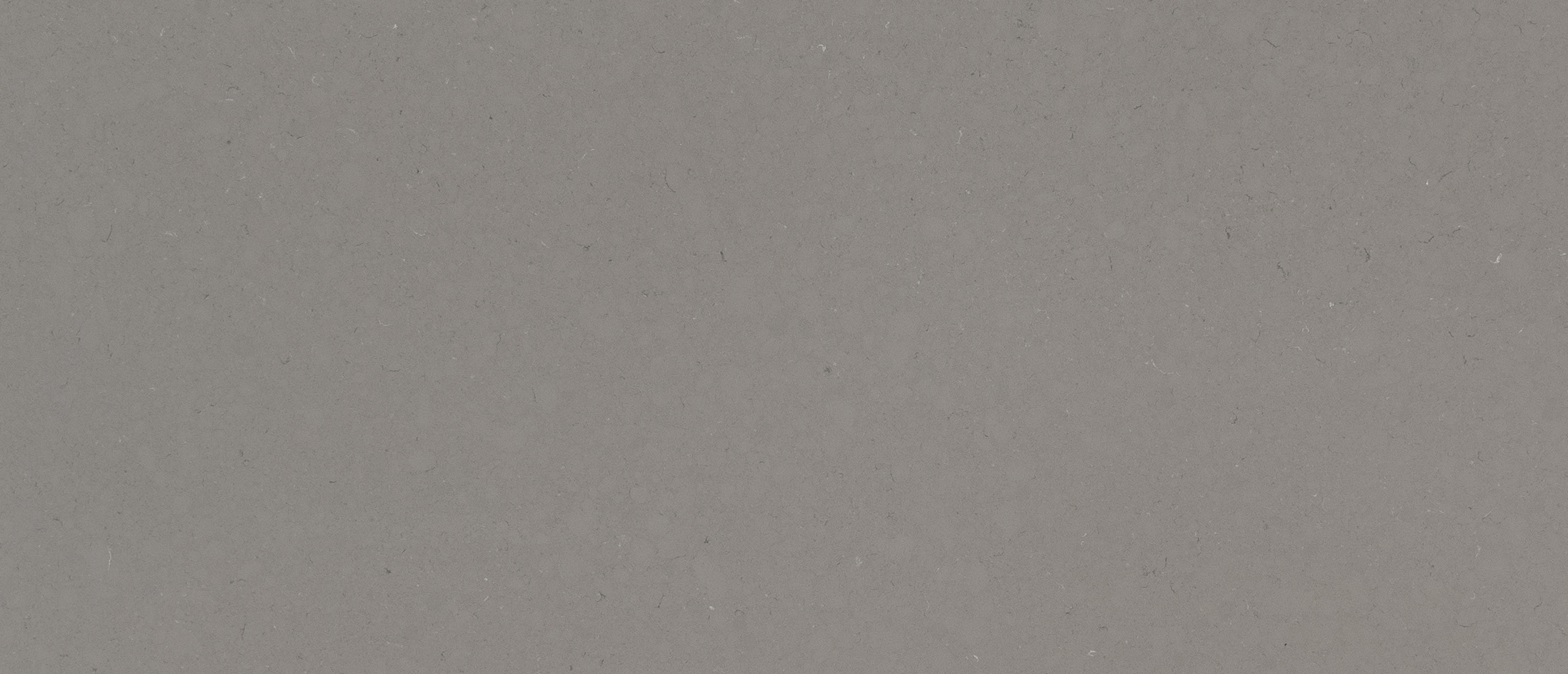 Fossil Gray quartz detail