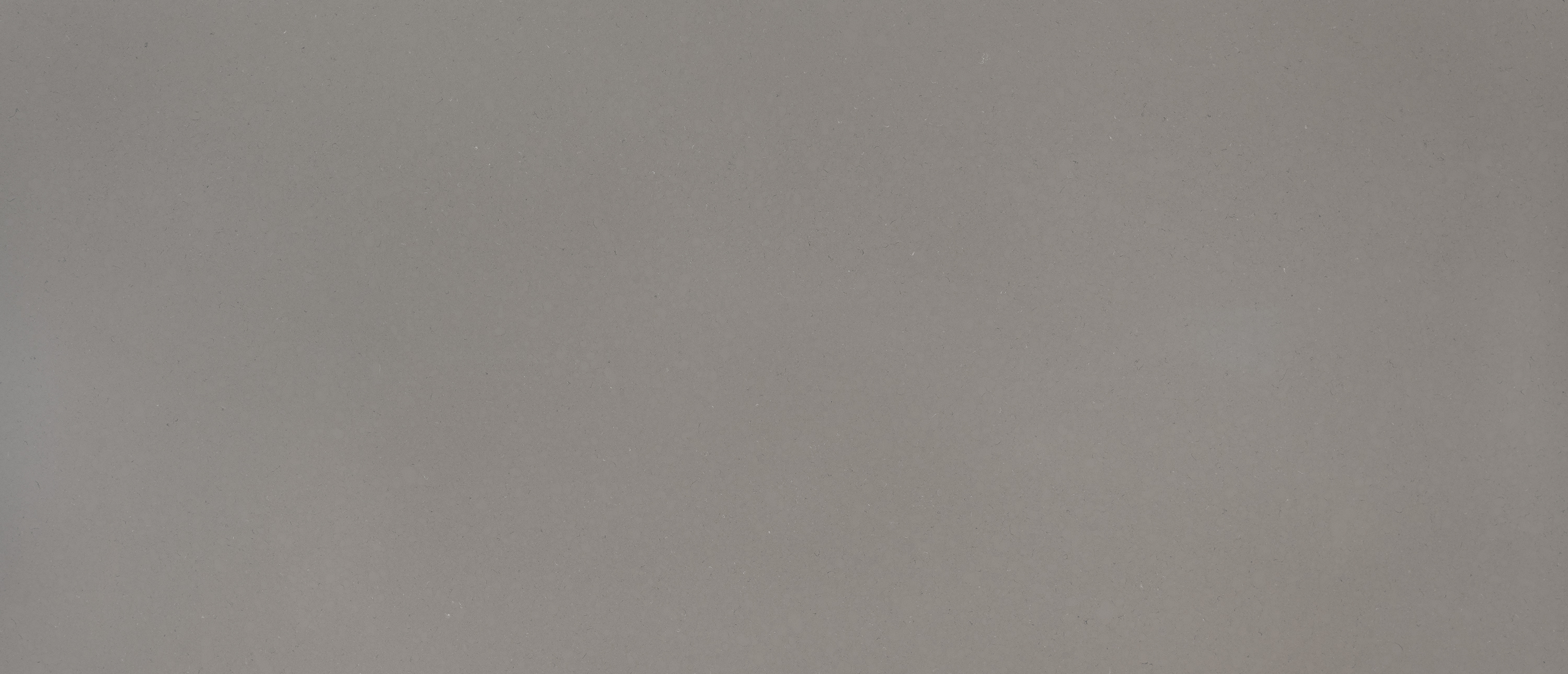 Fossil Gray quartz full slab